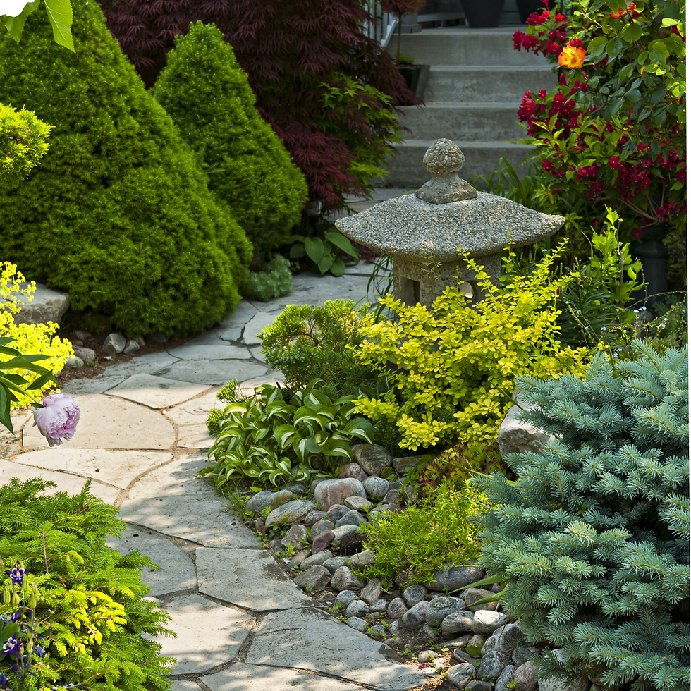 Système d’arrosage par micro‑aspersion : couverture uniforme de la pelouse pour un arrosage efficace et maîtrisé, avec un minimum de pertes par évaporation.