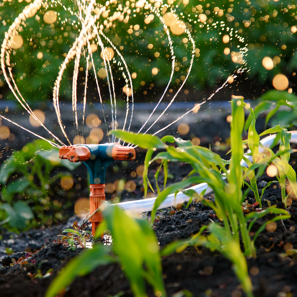 Système de micro‑aspersion de haute précision, garantissant un arrosage ciblé et économe pour des massifs luxuriants et un jardin durable.