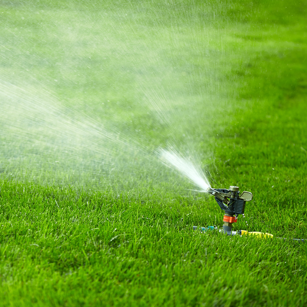 Tête de sprinkleur rotatif : arrosage homogène de la pelouse par jet rotatif, garantissant une couverture optimale tout en maîtrisant les pertes d’eau.