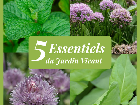 5 essentiels du jardin vivant