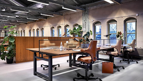 Designer Chairs.jpeg