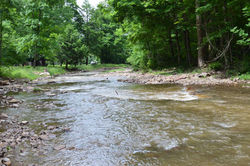 Savage River - After