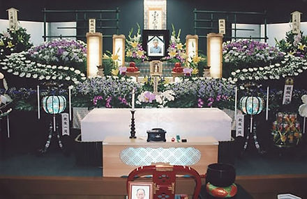 80万円プラン