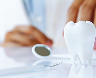 歯の模型とデンタルミラーと歯科医師