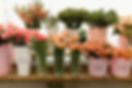 TheFlowerGarage-Class.JPG