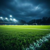 grass pitch.jpg