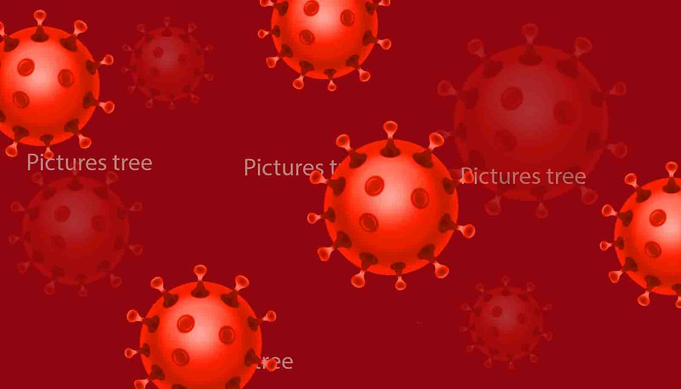 ree