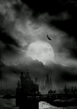 tumblr_om7kgaqK6F1uxijbqo1_540