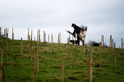 Editorial photographer Herefordshire