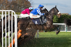 Hurdle horse race
