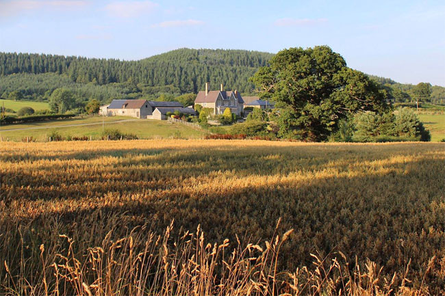 Wilde Lodge, Knighton