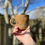 Thumbnail: Handmade ceramic Mug- Mixed Berries