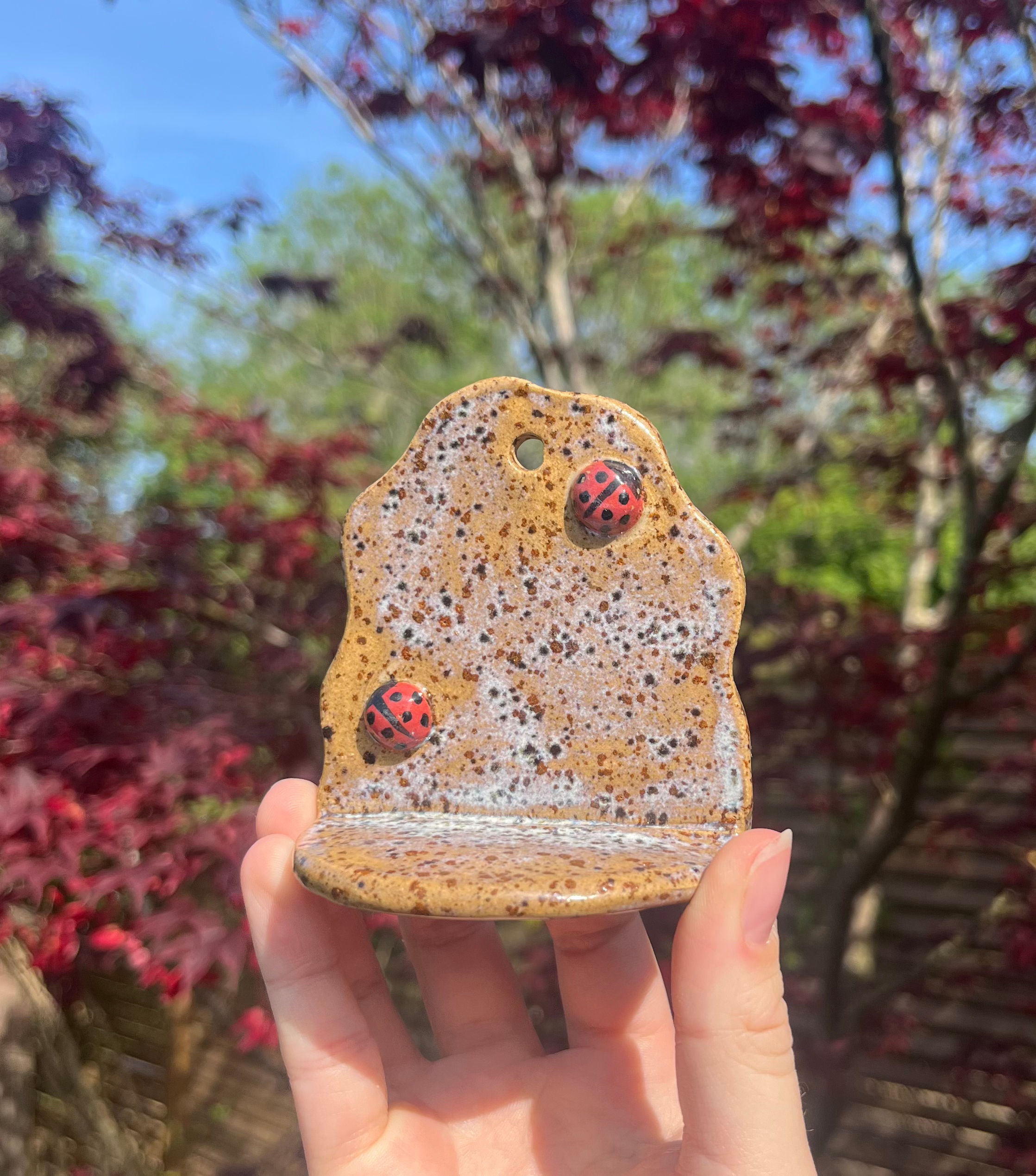Handmade Ceramic Shelf - Lady Birds