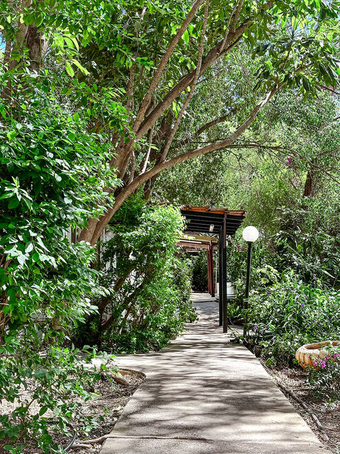 הצמחיה היפה במתחם האירוח של סקיי מטיילים במושב רמות