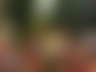 Marcha del Orgullo 2025: contra el odio y la violencia. Mas Orgullo y Unidad