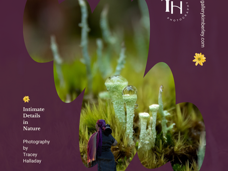 DISCOVERING INTIMATE DETAILS IN NATURE