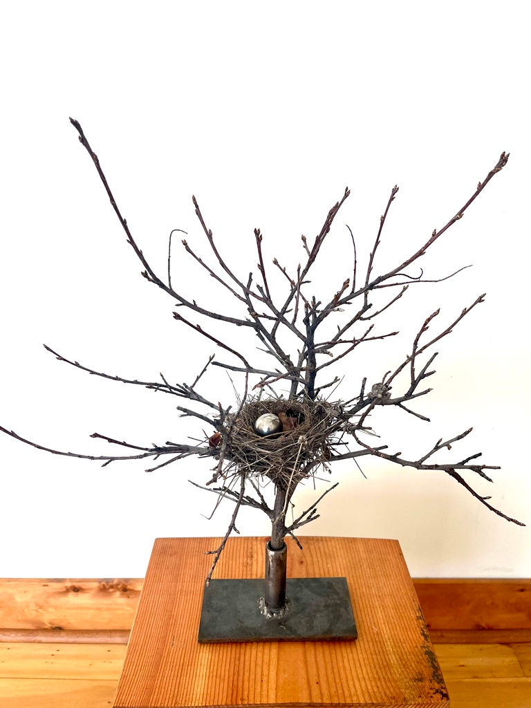 Nest II