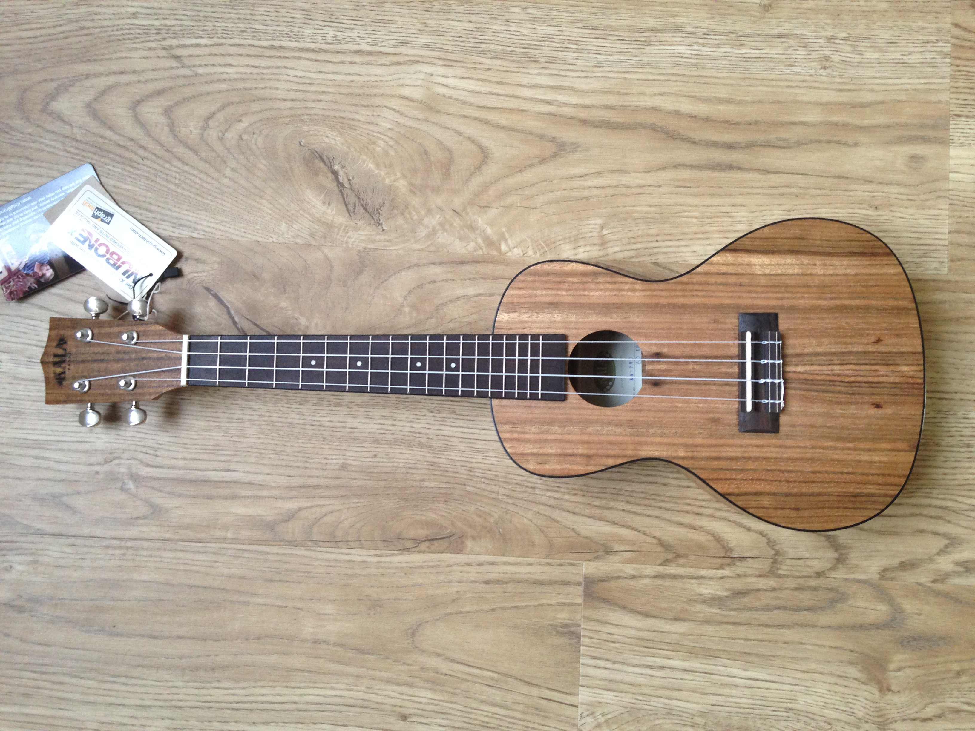 Kala Pacific Walnut concert ukelele