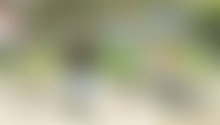 Who is Ommasana ?