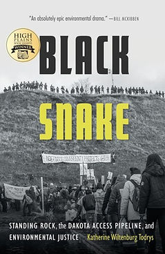 book cover for "black snake"