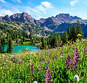 colorado.jpg