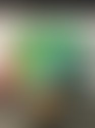 Lee's vision for VOLTA is clear: curation is not just about aesthetics. It’s about infrastructure.