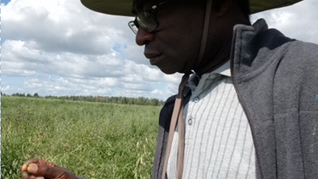 Progress Report: Evaluating Strategic Land-use Options, Forage, Crop, and Livestock Integration