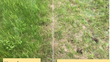 Progress Report: Demonstration of Grazing Management to Improve Soil Health & Forage Production