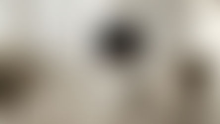 【震撼级家庭娱乐体验:BANG & OLUFSEN BEOVISION CONTOUR 4K OLED】