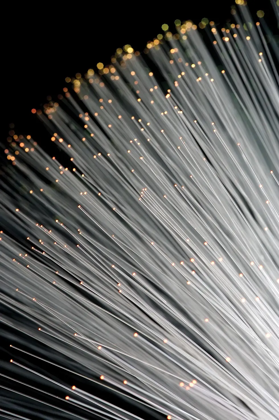 fibres-fibre-optics.webp