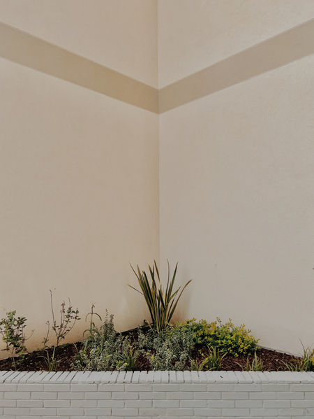 image00009.jpeg