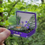 Thumbnail: Evergreen - Transparent Vinyl Sticker