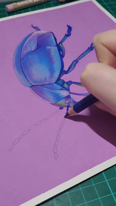 Thumbnail: Opal Beetle - Metallic Vinyl Sticker