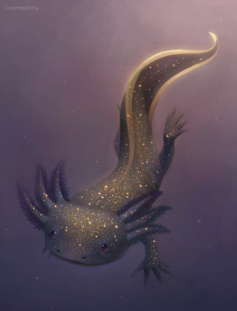 Thumbnail: A4 Print of "Axolotl!"