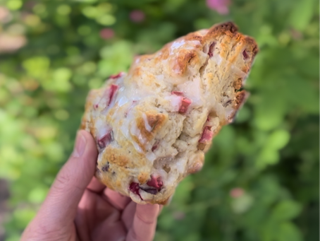 rosemary rhubarb sourdough scones