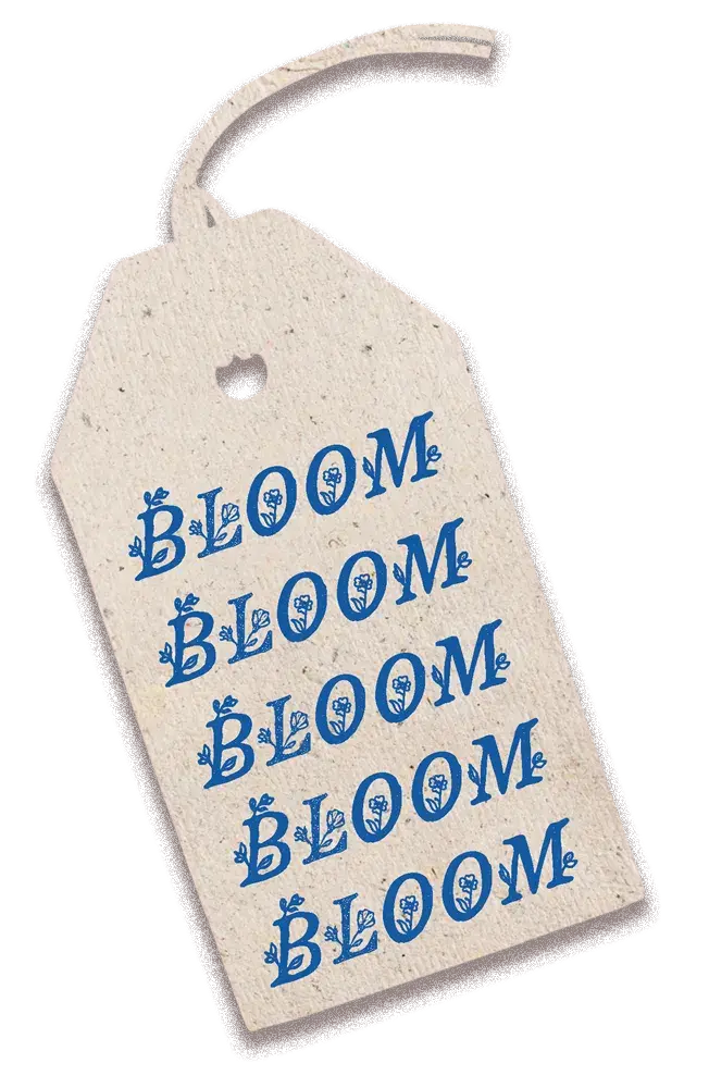 een label voor een kadootje met 'bloom' herhaald
