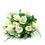 Thumbnail: orquidea