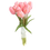Thumbnail: tulipanes