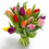 Thumbnail: tulipanes