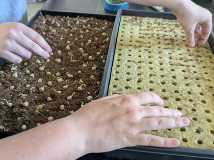 Can the Community Salvage Its Gardens After the Eaton Fire?