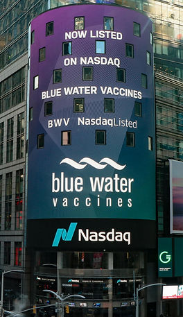 BWV_Stock_Ticker_Image 2.jpg
