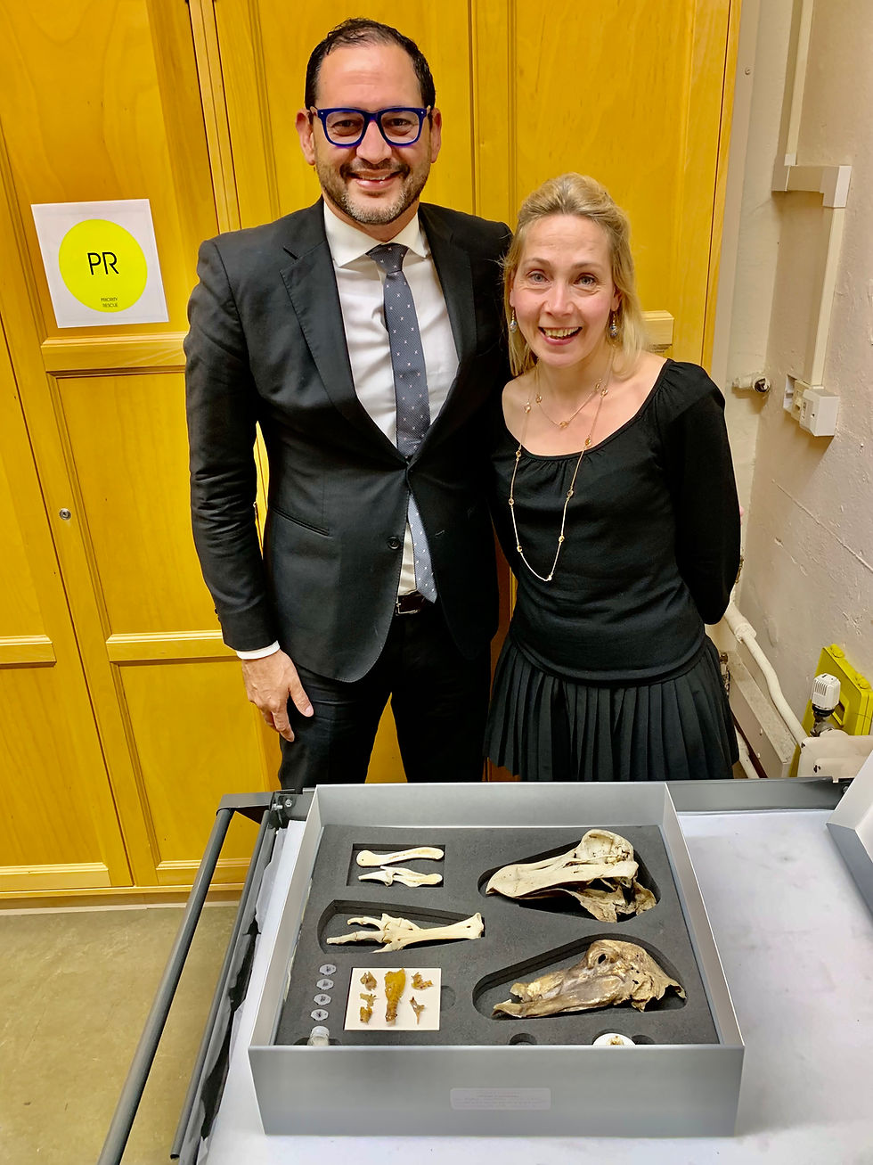 Oxford Dodo Genome Project