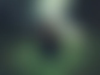 Left HandPad el falso sendero