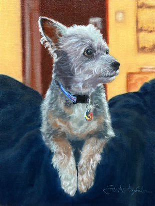 Portrait sketch of a dark gray, light gray, and tan terrier laying on a blanket.