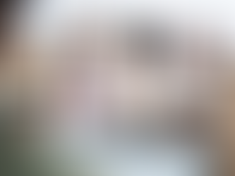 Innovations in Executive Coaching: What's New and What Works