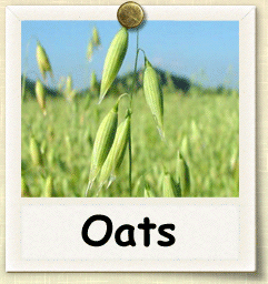 oats