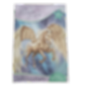 Image of Bella Sara Valkrists Flight Book from Hidden City and Bella Sara