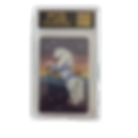 Back image of Bella Sara Foals Addis Graded