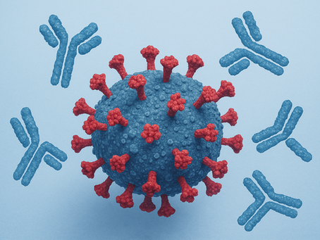 SARS-CoV-2 und Antikörper