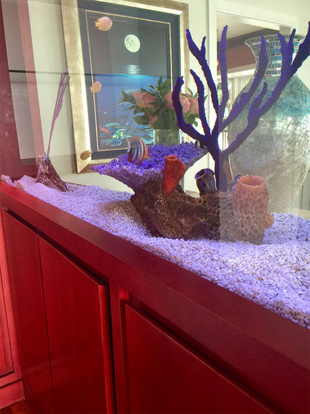 kitchen_aquarium_teak_bar_brielle_NJ_04_by Artur Moreira.jpg